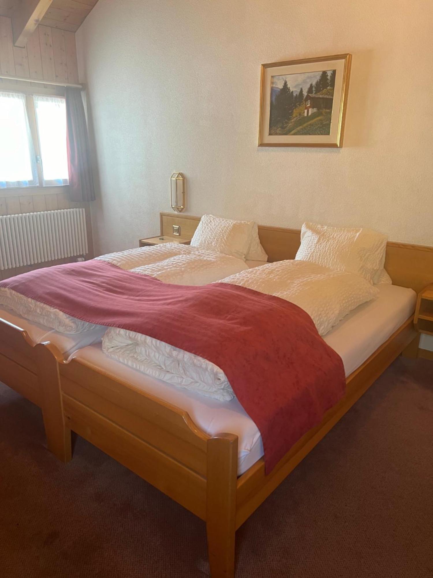 Obergesteln Hotel Grimsel מראה חיצוני תמונה